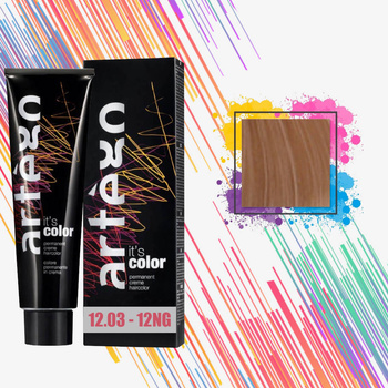 Artego Paint 150ml It`s Color 12.03-12NG