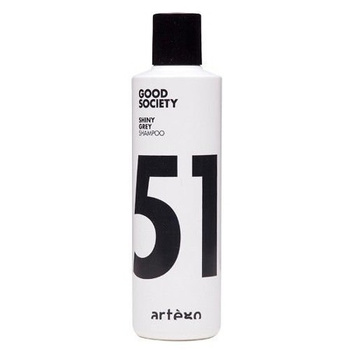 Șampon ARTEGO Shiny Grey 250 ml