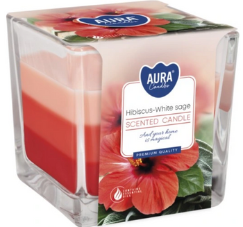Bispol Lumânare parfumată în sticlă tricoloră 170 g Hibiscus &amp; salvie albă